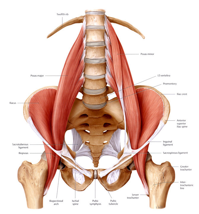 Psoas